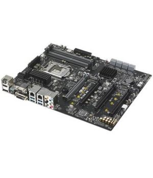 Asus P10S WS