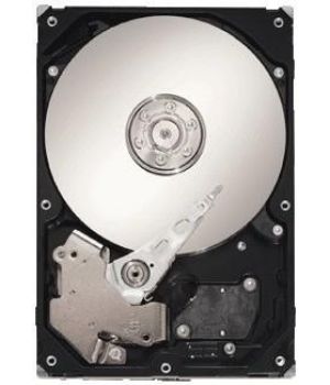 Seagate SV35.6 ST1000VX000