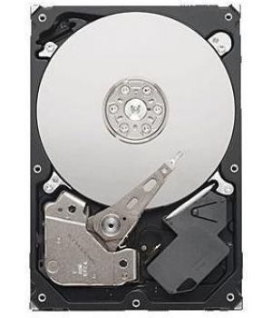 Seagate Video 3.5 HDD ST3500312CS