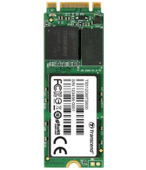 Transcend MTS600 512GB (TS512GMTS600)