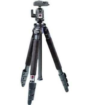 Benro A-350EX+BH-0
