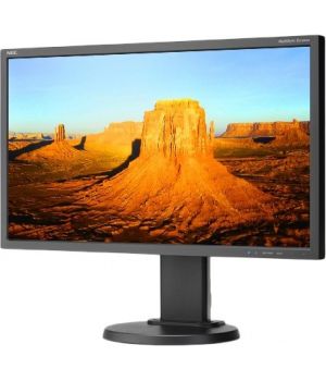 NEC MultiSync E243WMi Black (60003681)