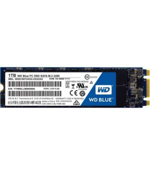 WD SSD Blue M.2 WDS100T1B0B