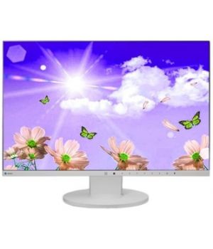 EIZO EV2450-GY