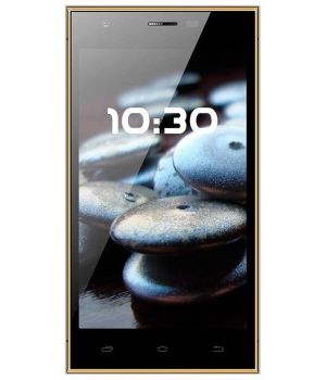 Nomi i503 Jump Gold (UA UCRF)