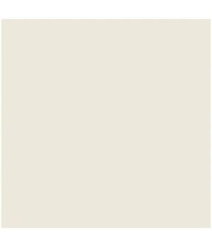 Savage Widetone Studio Gray 2,72x11m (12-12)