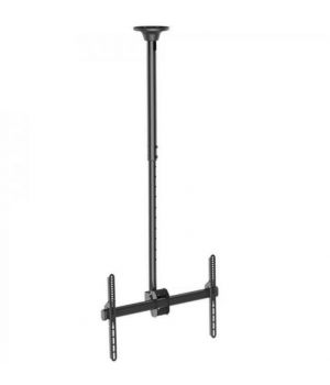 iTech Celb-54L