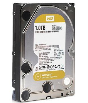 WD Gold (WD1005FBYZ)