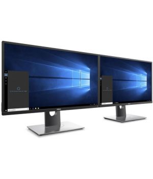 Dell P2017H (210-AJDH)