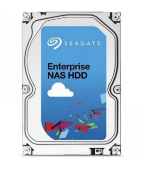 Seagate Enterprise NAS HDD ST3000VN0001