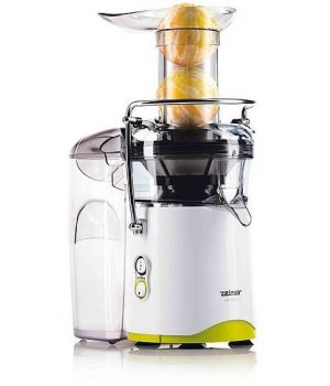 Zelmer 496 Expressive (ZJE1700GUA)