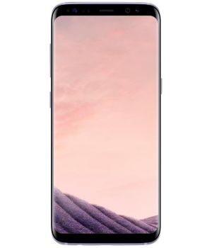 Samsung Galaxy S8 64Gb (SM-G950FZVDSEK) Orchid Gray