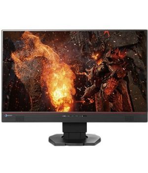 EIZO Foris FS2434